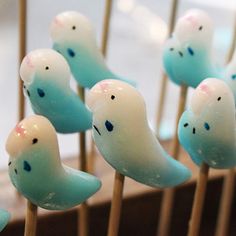 parakeet-lollipops